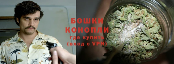 стаф Осташков