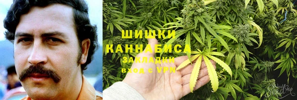 стаф Осташков