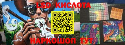 крисы Гатчина