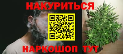 крисы Гатчина