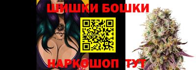 крисы Гатчина