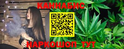 крисы Гатчина