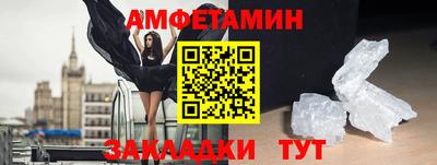 крисы Гатчина