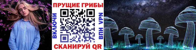 Галлюциногенные грибы Psilocybine cubensis закладка Саянск